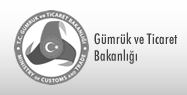 Gümrük ve Ticaret Bakanlığı